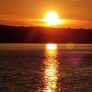 Meet your Posher, Terry